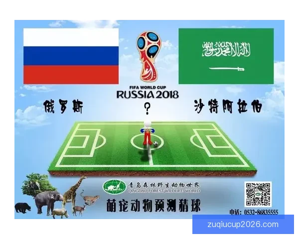 精准预测世界杯赛果，掌握足球竞猜比分秘诀技巧